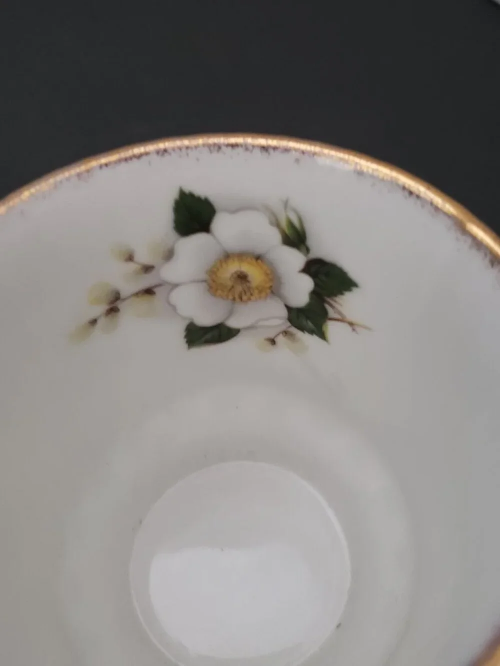 Vintage Rosina Queen's Fine Bone China Floral Tea Cup & Saucer